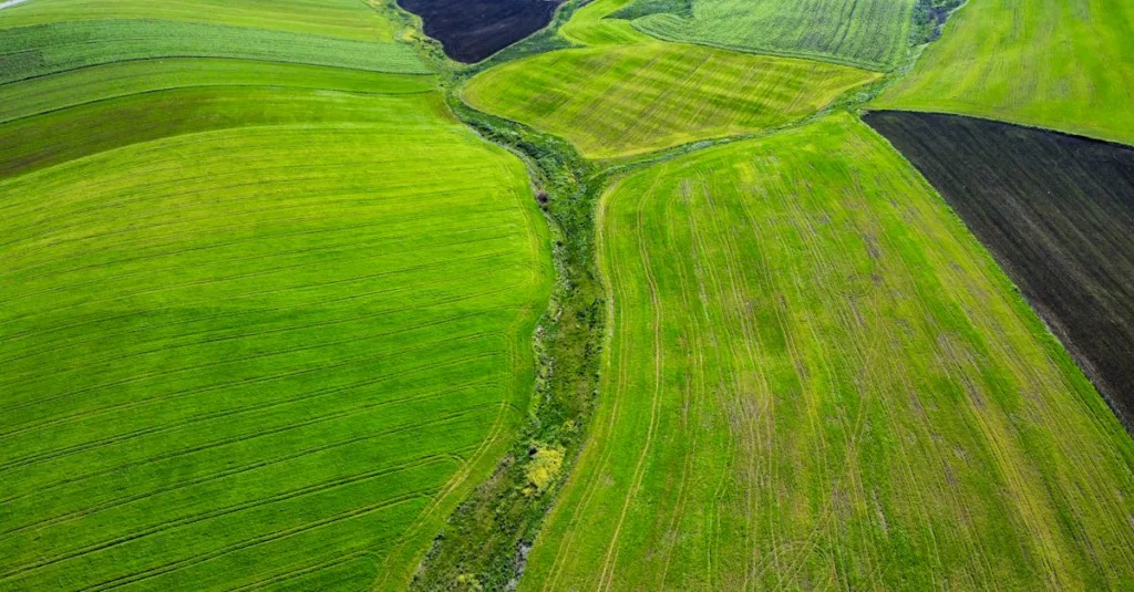découvrez l'agriculture écologique, une approche durable qui favorise la préservation de l'environnement tout en produisant des aliments sains et respectueux de la biodiversité.