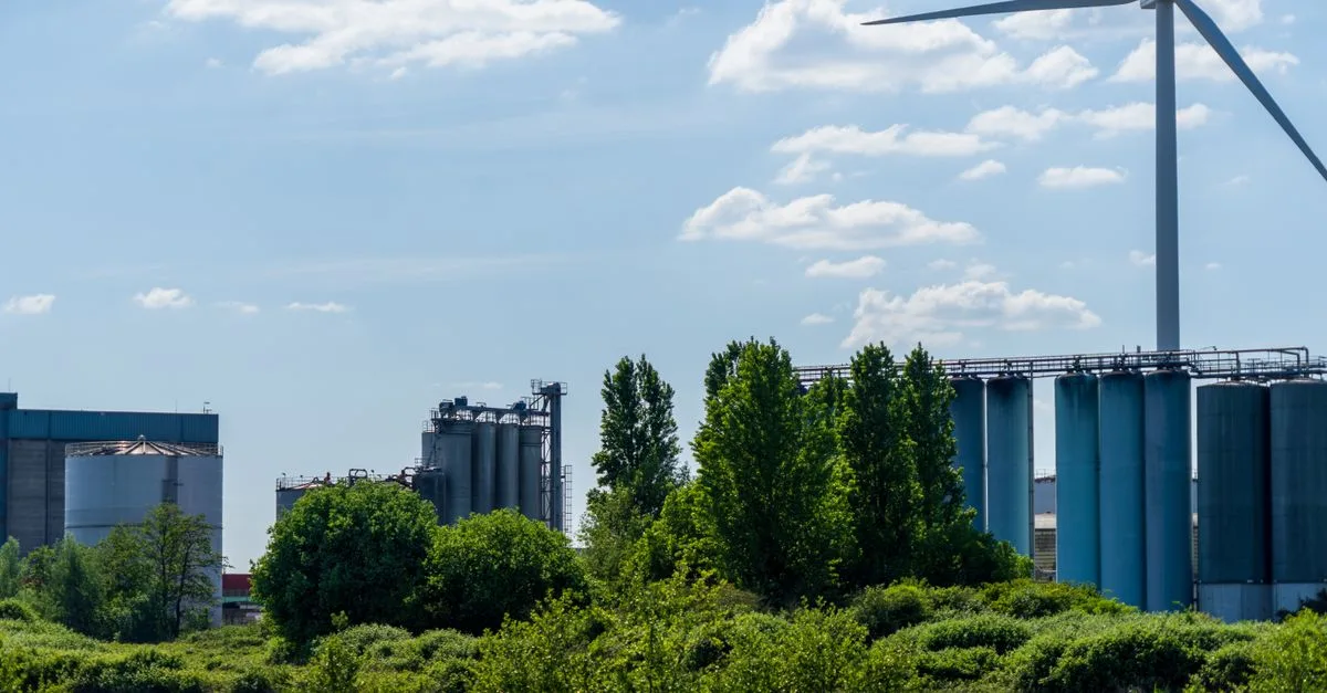 découvrez les réglementations environnementales essentielles pour protéger notre planète et garantir un développement durable.