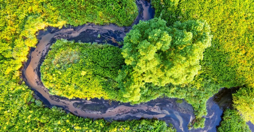 découvrez les réglementations environnementales essentielles pour protéger notre planète et assurer un développement durable.