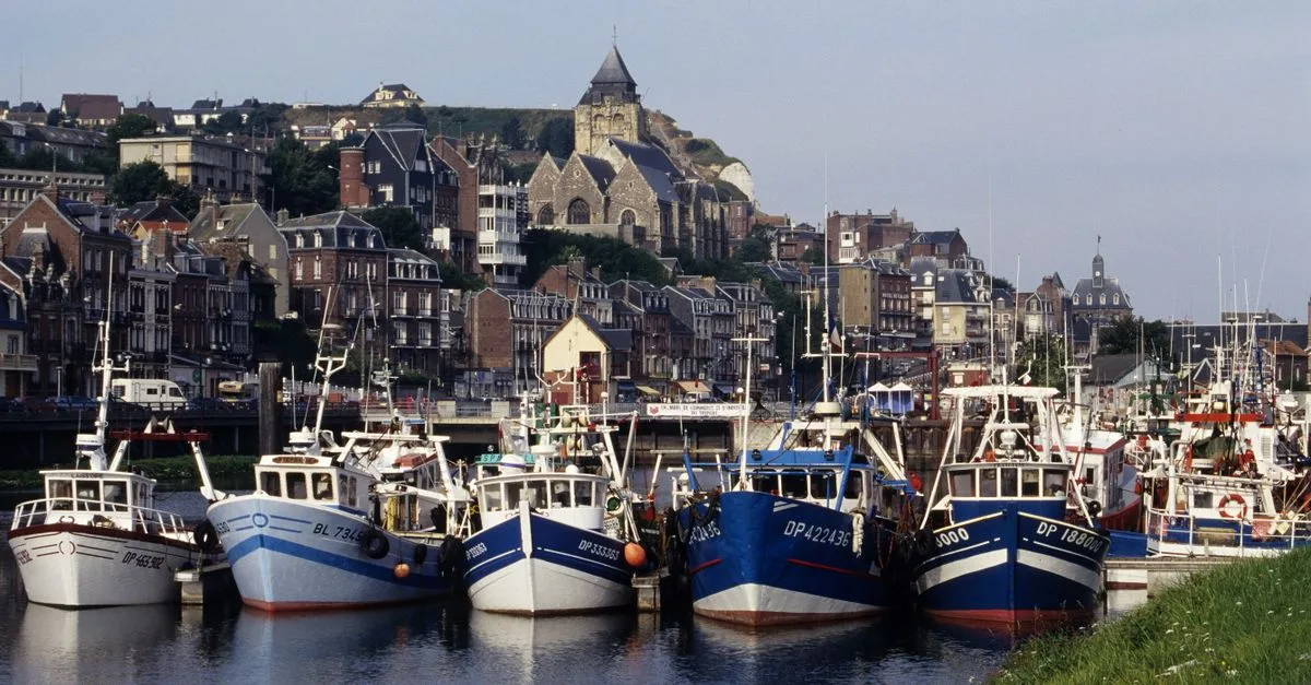 découvrez la gastronomie normande, riche en saveurs authentiques avec ses spécialités telles que le camembert, le cidre, et les fruits de mer.